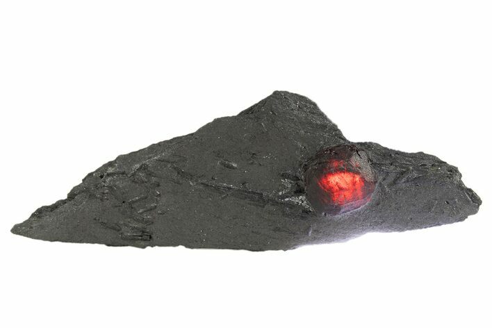 Red Embers Garnet in Graphite - Massachusetts #313508